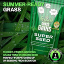 Grass Gains Super Seed