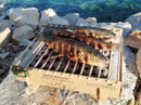 CASUSGRILL™ Casus Grill Bamboo Disposable Eco BBQ Barbecue