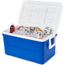 Igloo Laguna 48QT 45L Cool Box Cooler - Blue