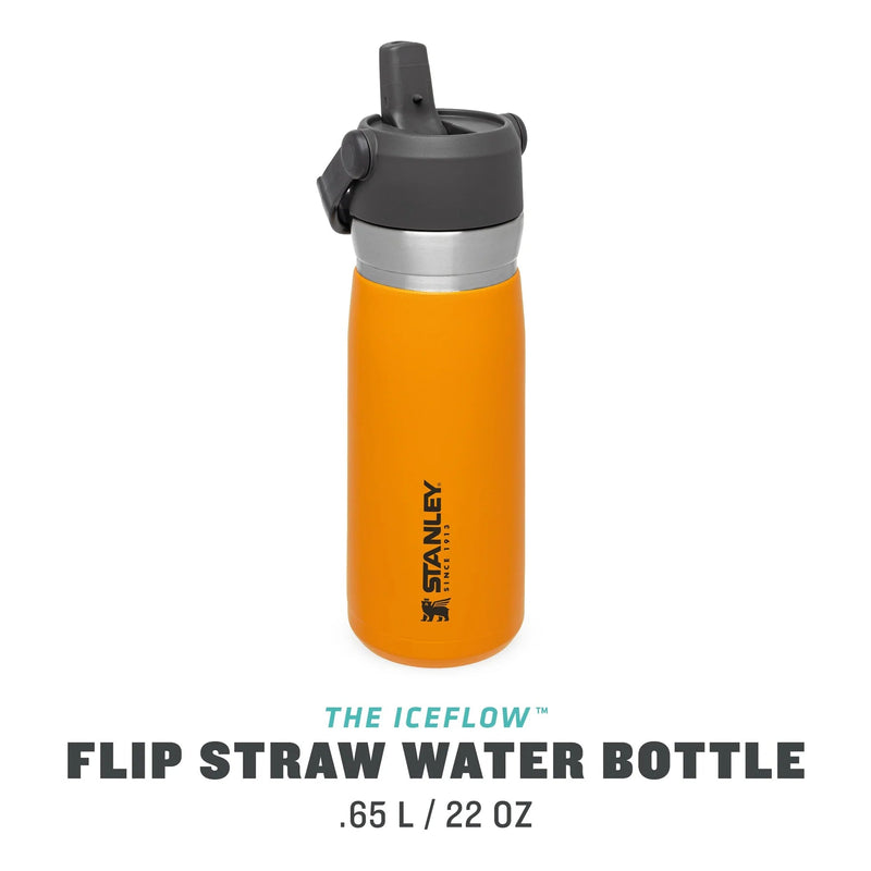 Stanley Go Flip Straw Water Bottle 0.65L